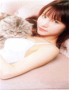 最佳女婿 粤语