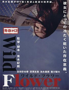 霍阿尼布:沙漠大象之谜